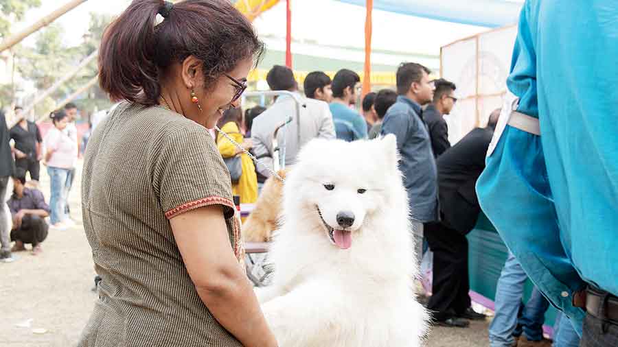 A 10th obedience show was held on December 2 and the 54th and 55th all breed championship dog show was held on the two following days. The club that was established in 1996 held the Chandra Sekhar Sarkar Memorial Show on the final day. C.V. Sudarshan, Gouri Nargolkar and C.R. Patnaik were the judges at the show. 