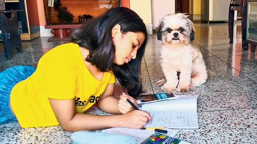 Nutty guards Mohona Sengupta as she settles down with homework 