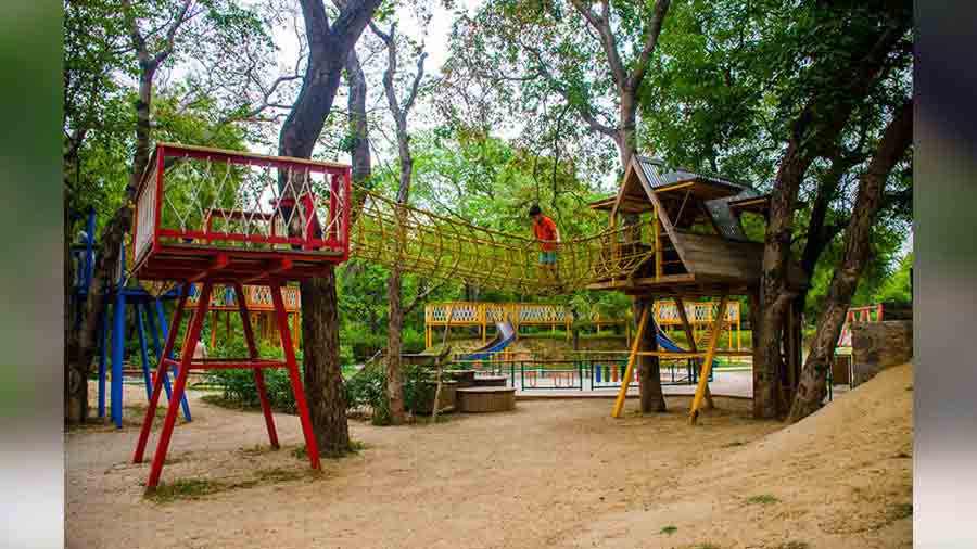 Child activity park  