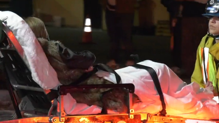 Footage posted on social media showed injured people on stretchers being taken to ambulances by emergency staff. Around the scene of the shooting police guarded cordoned-off streets. 