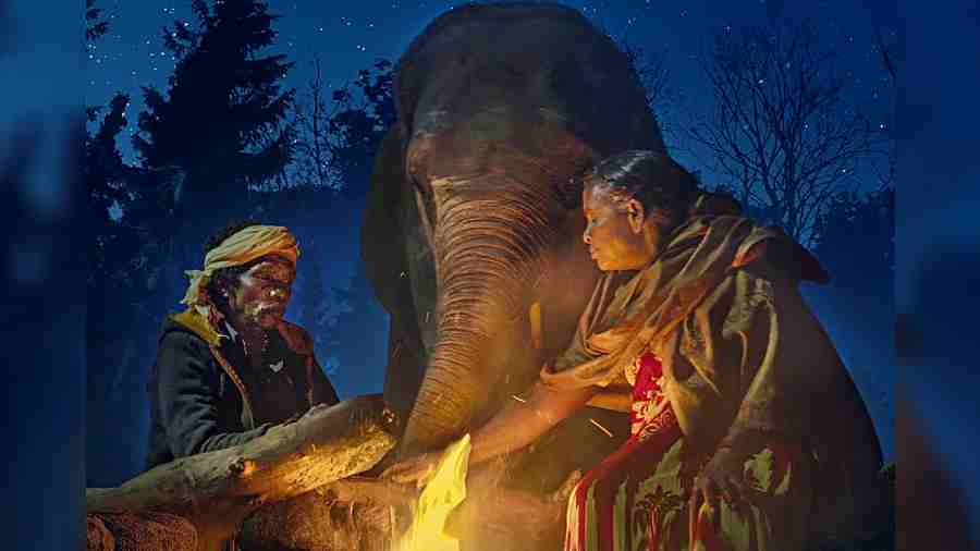 A moment from The Elephant Whisperers, in contention for a Best Documentary Short Film nomination at the Oscars