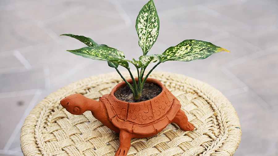 The Terra Tortoise Planter will lift a corner of your garden with its earthy notes