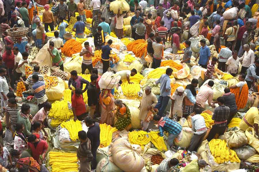 As Saraswati Puja begins on Wednesday, sellers have stocked up on flowers and garlands at the Mullick Ghat flower market 