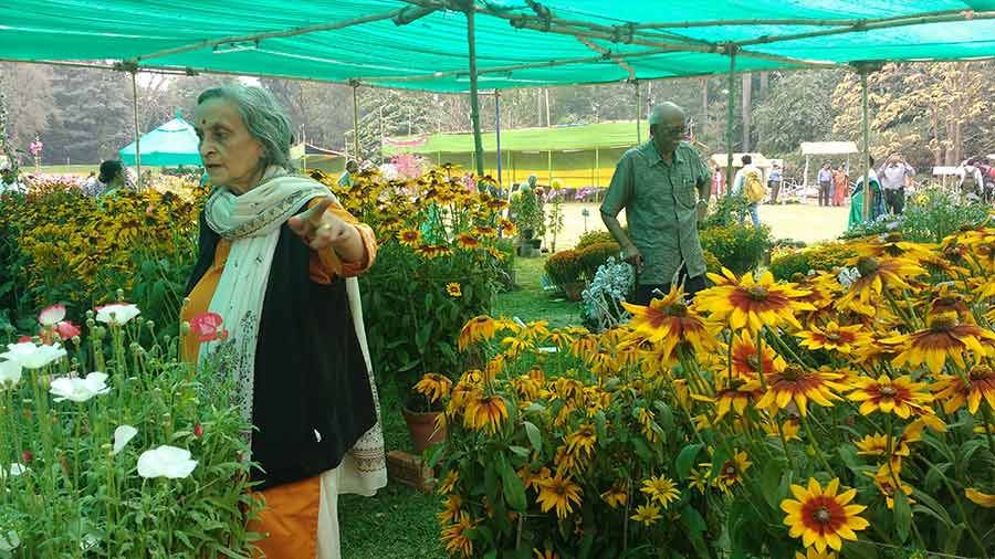 Kolkata to miss Alipore Horticulture flower show for third year 