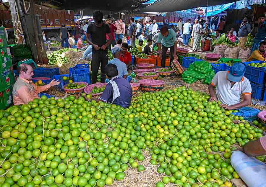 A huge consignment of sweet lime arrived at Mechua fruit market on Monday morning 