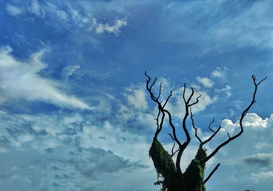 Kolkata has been experiencing hot and humid weather for the past few days. On Tuesday, the sky was more or less clear with patches of cloud. However, there was no rain respite  