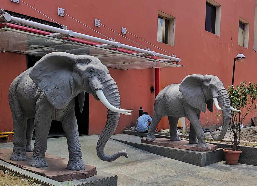 Two huge replicas of jumbos have recently been added at City Centre I as part of an ongoing beautification project 