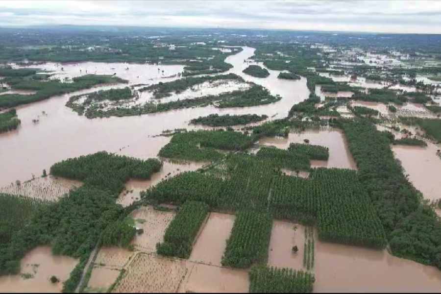 Punjab | Flood situation grim at some places as rainfall continues in Punjab,  Haryana - Telegraph India