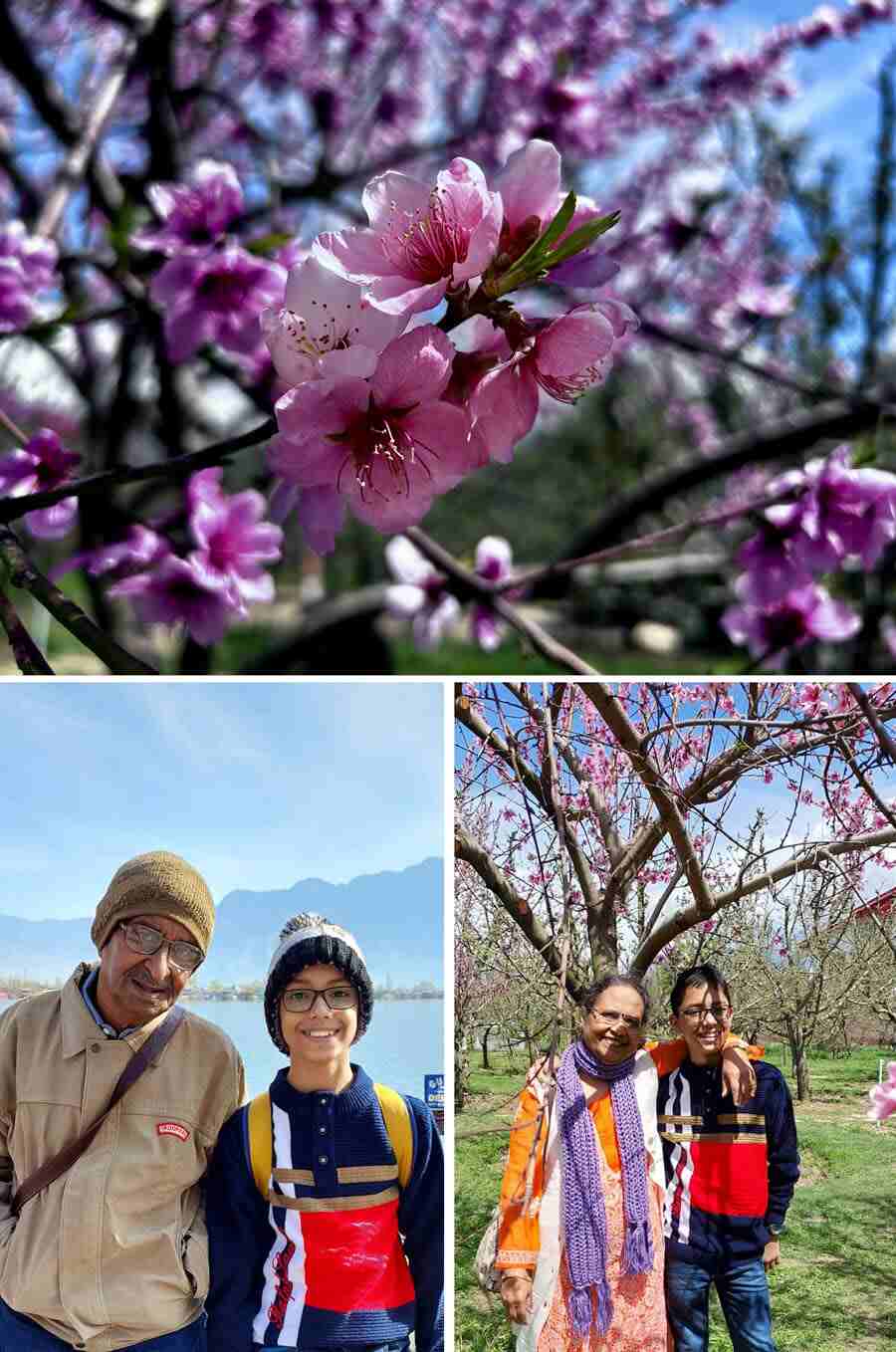 We stopped on the way to Pahalgam and excitedly made our way to random cherry orchards in bloom