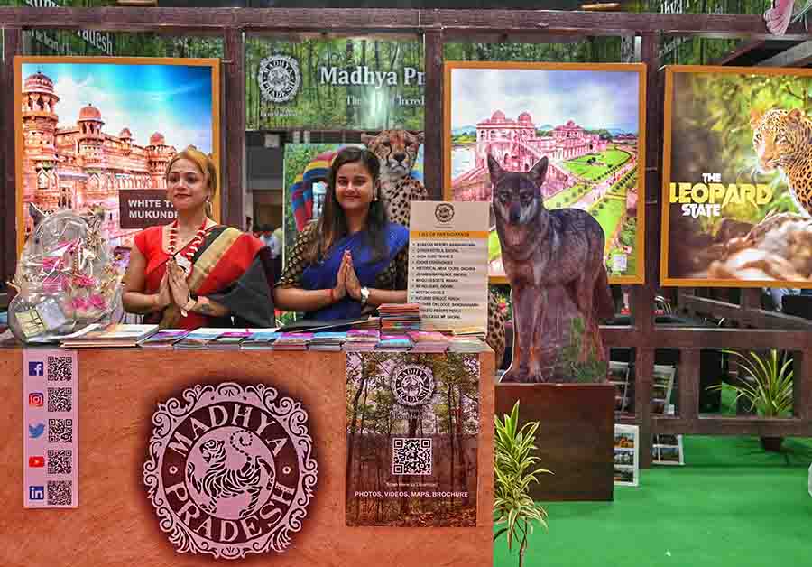 The Madhya Pradesh Tourism pavilion was decked up with models and giant colourful posters of the flora, fauna and heritage architecture that the land-locked state has to offer 