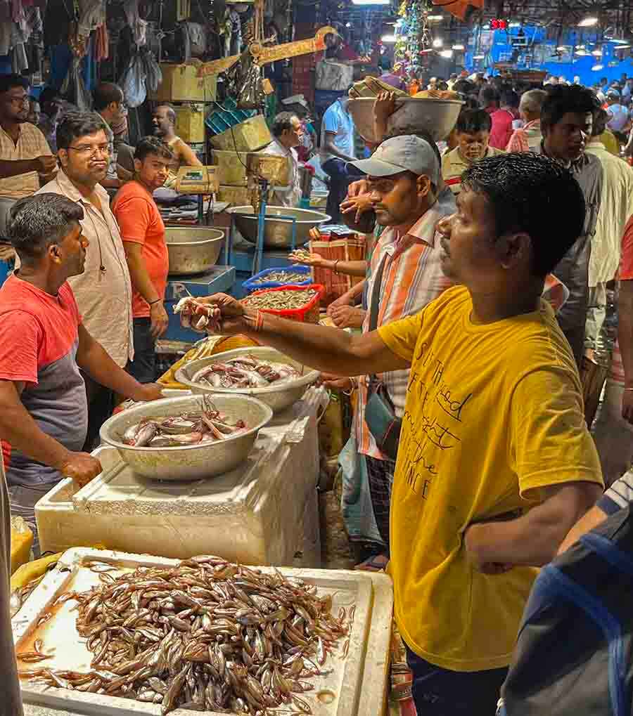 The Sealdah Baithakkhana wholesale fish market was buzzing with buyers and sellers early on Friday morning but hilsa was conspicuous by its absence