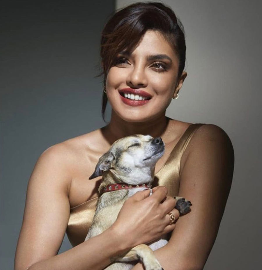 Diana, a Chihuahua, was Priyanka’s first adoption back in 2017 via Buzzfeed and North Shore Animal League. 