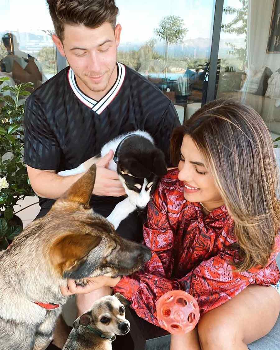 Nick and Priyanka adopted Panda, a husky, about two years ago. They shared a family moment with Panda, Diana and Gino, where Priyanka wrote, “My heart is full,” from the perspective of Panda.