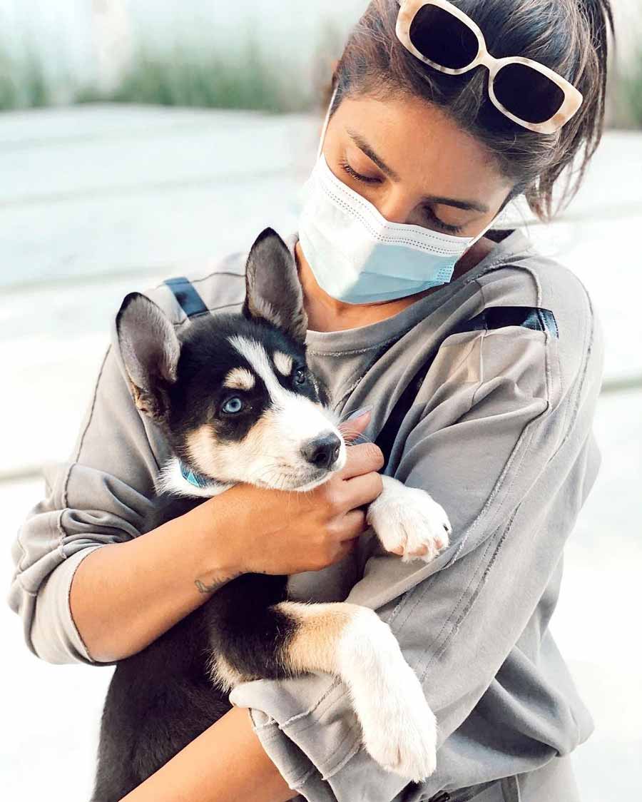 Priyanka carries Panda on her lap for cuddles. 