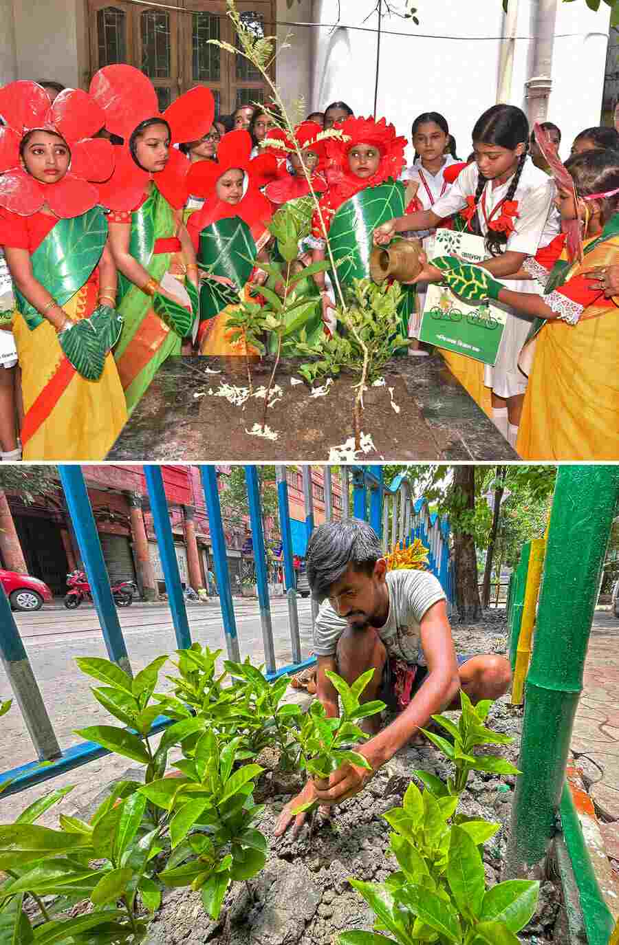 (Top) Students and teachers of Bethune Collegiate School observed Forest Week with cultural programmes and afforestation drive and (above) an employee of Kolkata Municipal Corporation plants saplings as part of a green buffer zone on Rabindra Sarani close to the Hedua crossing