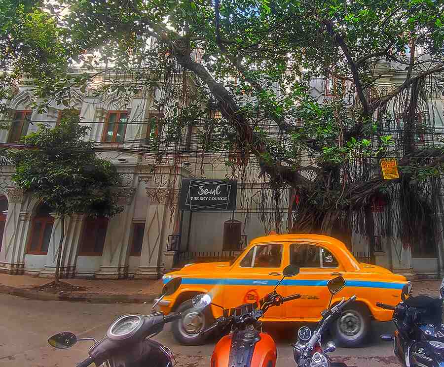 This old banyan tree in front of Harrington Mansion on 8, Ho Chi Minh Sarani may pose a threat to pedestrians and parked vehicles