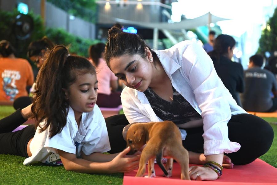 “I had so much fun and such a therapeutic and relaxing yoga session with these adorable little pups at the Backyard! I hope these little furballs of love get adopted by loving homes super soon. They deserve all the love they can get,” said Gurbani Kaur who was snapped with kiddo yoga enthusiast Namah Thirani.
