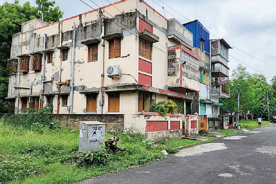 Residents fear snakes are living in such unkempt plots in AA Block.