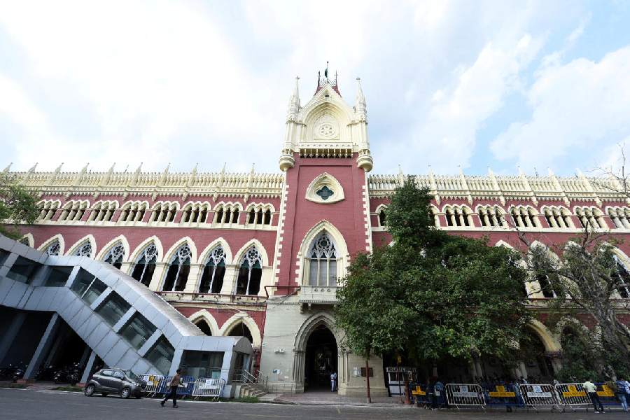 Calcutta High Court To Hear Students Submission TrendRadars
