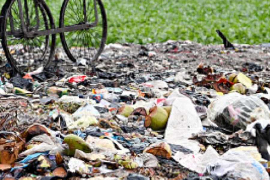 Garbage scattered along Topsia Road on Tuesday. 