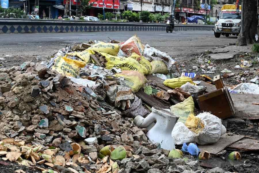 Piles of garbage along Central Avenue near Sovabazar on Wednesday. 