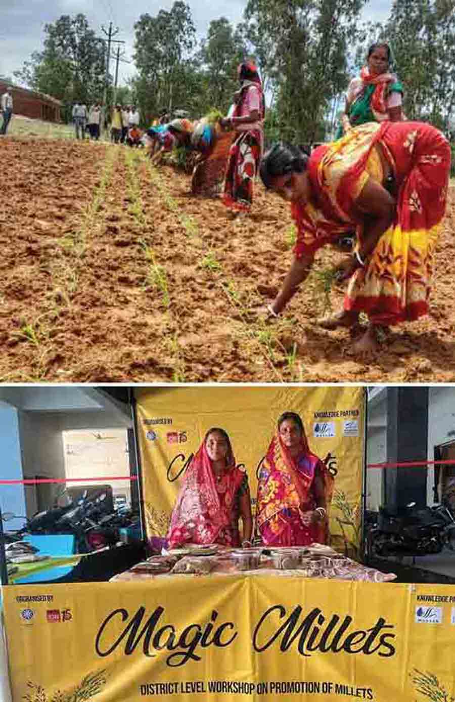SwitchOn Foundation and the agriculture department organised a district-level workshop on millet cultivation to raise awareness about the climate and nutritional benefits of millets