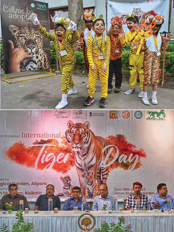 Children dressed up as tigers take part in a programme at the Alipore Zoological Garden on Saturday. Actor and wildlife photographer Sabyasachi Chakraborty was the guest of honour. Actor Badshah Moitra and education officer of the Indian Museum Sayan Bhattacharya were among other dignitaries and school students who attended the event organised in collaboration with the Indian Museum