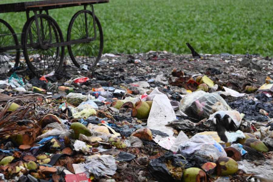 FIle picture of garbage scattered along Topsia Road. Such garbage contains discarded cups and coconut shells which can turn into mosquito-breeding sites