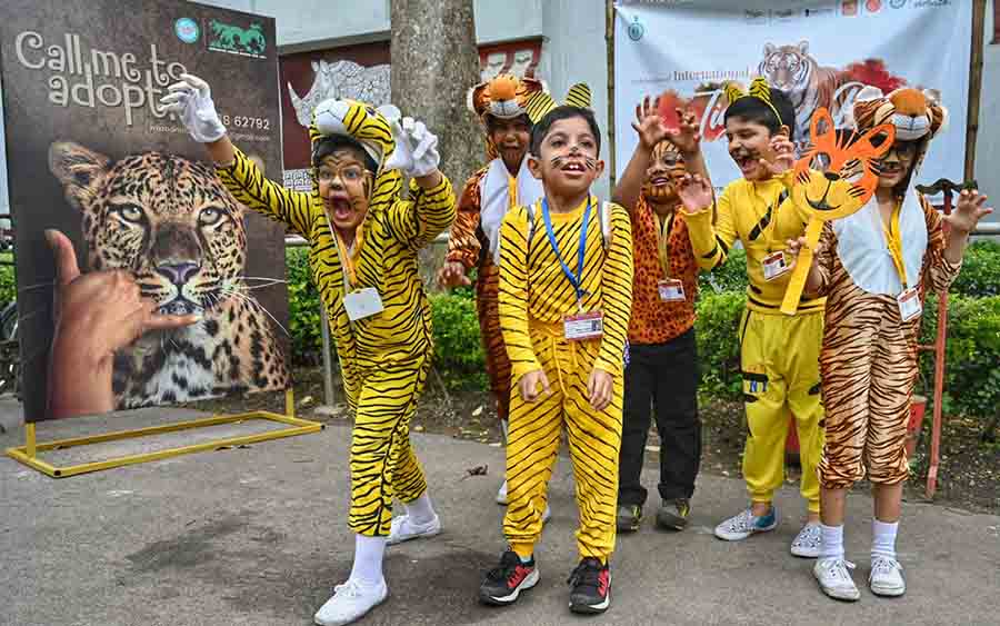 Children dressed as tigers take part in an International Tiger Day programme at Alipore zoo on Saturday  