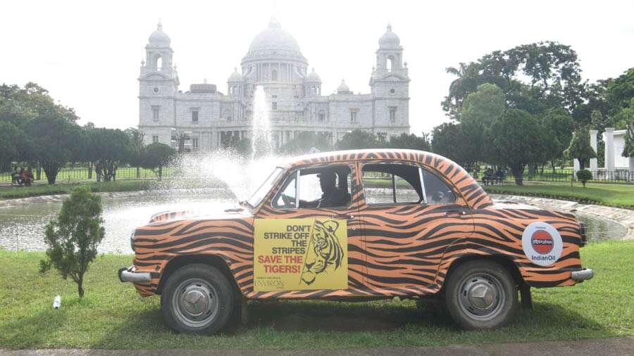 A tiger-themed yellow taxi was flagged off at Victoria Memorial on Friday to mark International Tiger Day  
