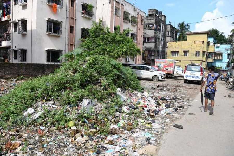 Garbage lay scattered near Tiljala police station at Picnic Garden on Sunday. Such garbage contains discarded cups and coconut shells, which can turn into mosquito-breeding sites