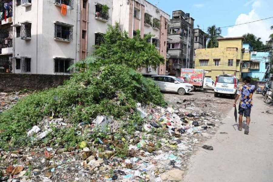 dengue-garbage-across-city-as-sting-threat-looms-telegraph-india