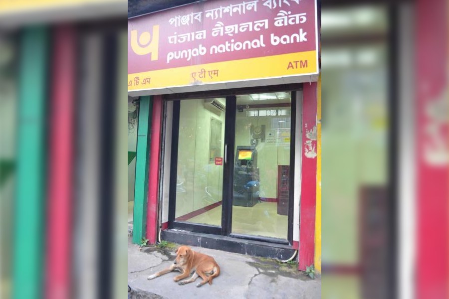 Punjab National Bank Reports 327 Per Cent Jump In Net Profit To Rs 175613 Crore In September 1560