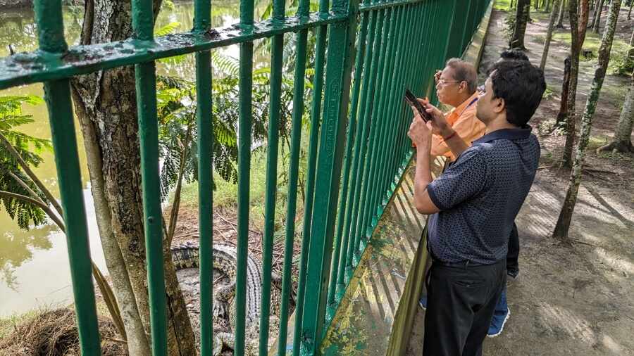Jharkhali, one of the gateways to the Sunderbans, is the entry point for a number of tourist attractions, including the Jharkhali Tiger Rescue Centre