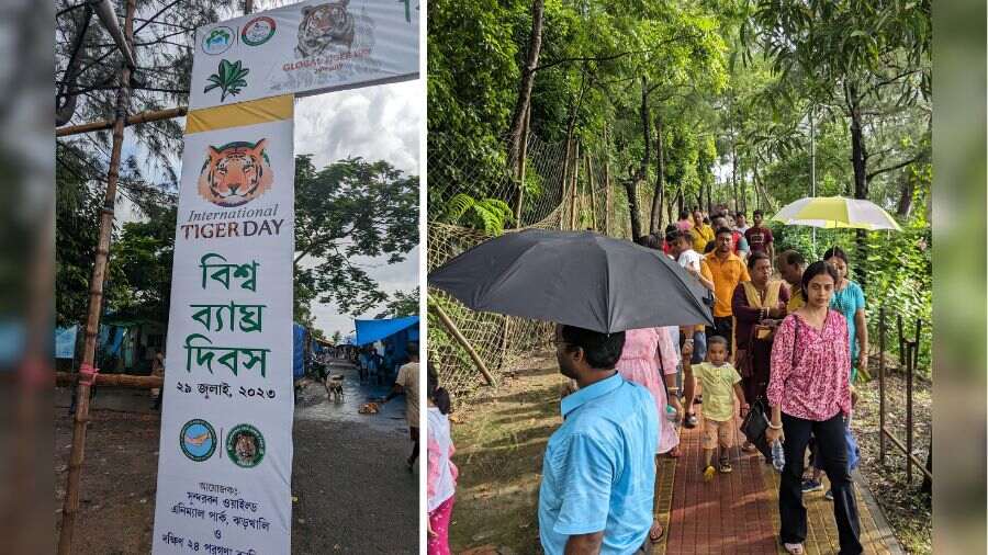 The Jharkhali Tiger Rescue Centre celebrated the occasion of Global Tiger Day on Saturday, July 29, 2023, and hundreds of tourists thronged the wildlife park and neighbouring attractions for a glimpse of the striped cats