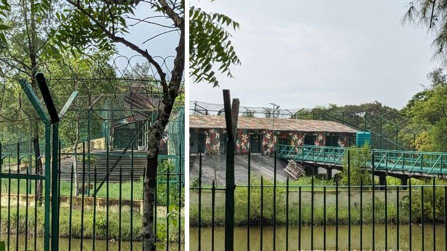 The main attraction is the tiger enclosure and crocodiles in the canals. At present, it is home to three Bengal Tigers, 11 saltwater crocodiles (one of which has recently laid eggs), monkeys and a host of flora and fauna. Even if you don’t spot a tiger in the mangroves, you will get to see one here!