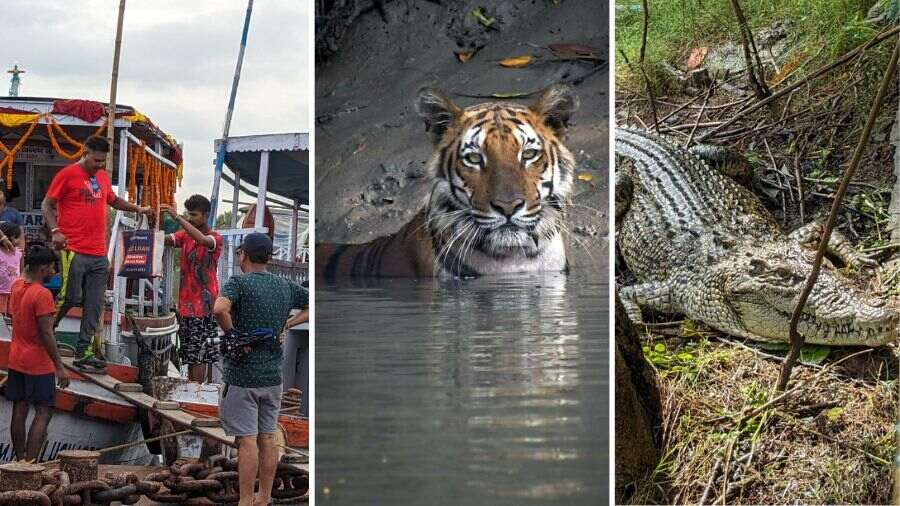 In pictures: A visit to Jharkhali Tiger Rescue Centre on World Tiger Day