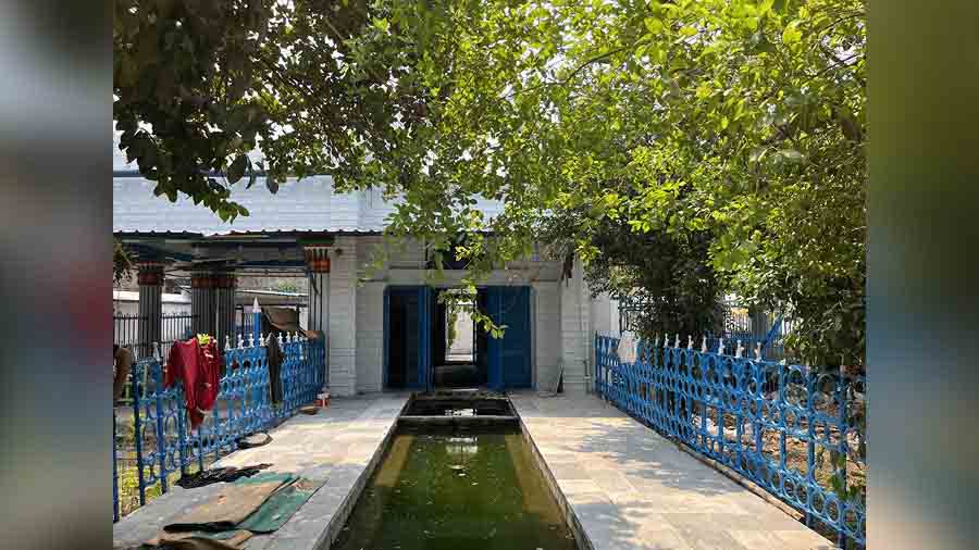 The charming wuzu pond at Shahi Masjid, overhung with greenery 