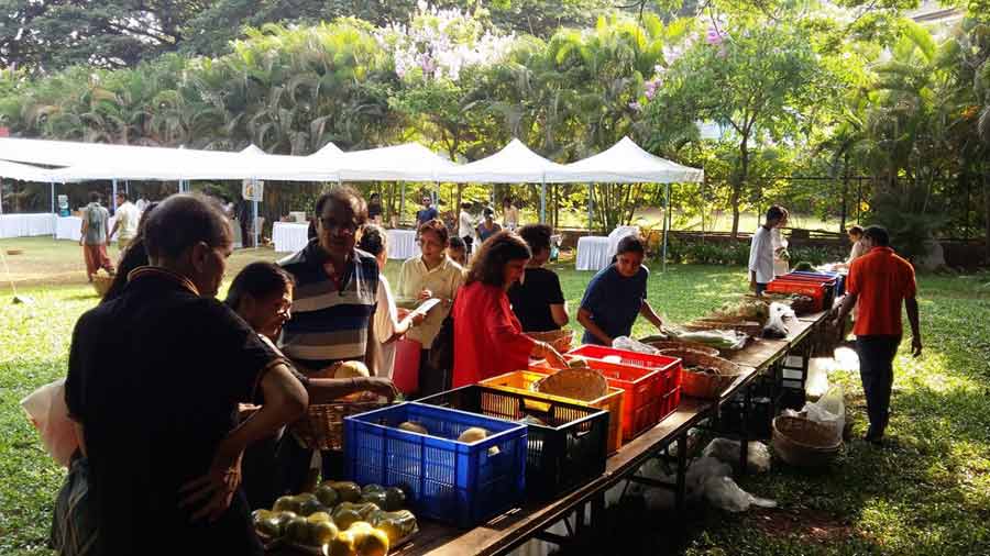 At the age of 22, Majumdar helped put together a farmer’s market at Mahalaxmi Race Course, which became a social hub for Mumbai’s elite