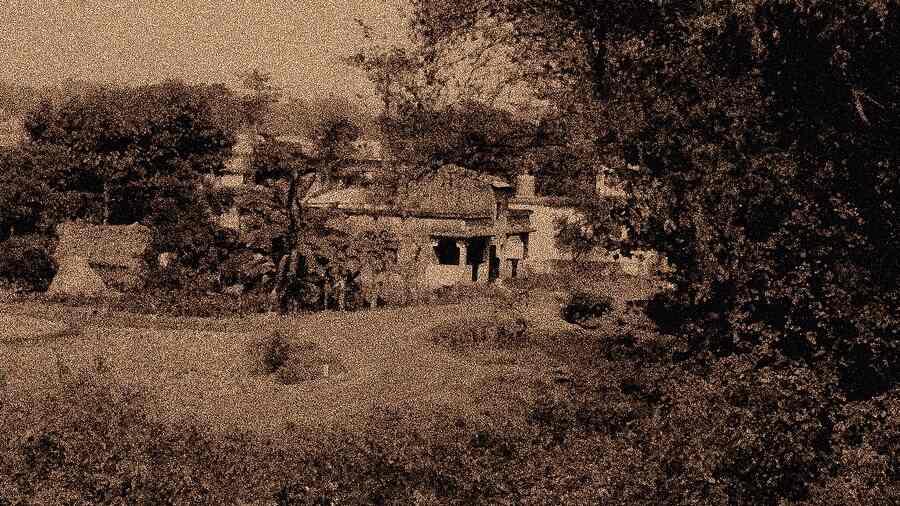 Dense greenery in a certain pocket of the city a few decades back