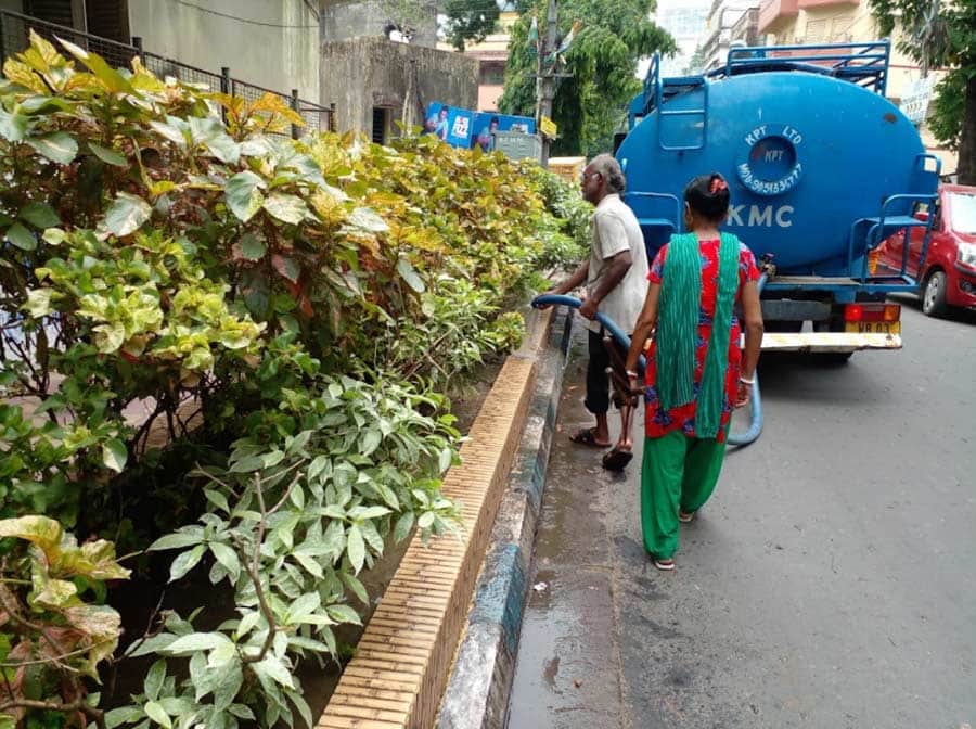 Kolkata Municipal Corporation (KMC) workers watering plants at several city parks  