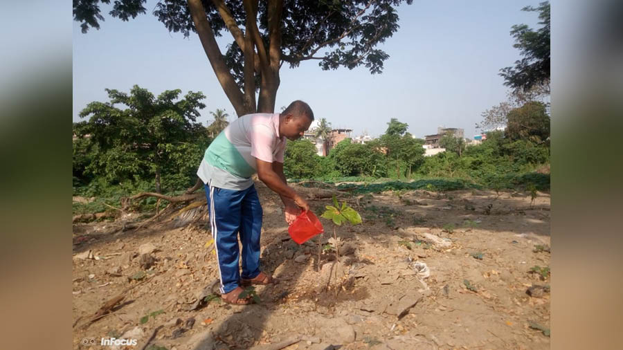 Hait’s mission is to turn vacant patches of land into green spots