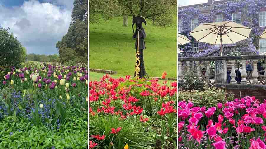 A variety of flowers in bloom 