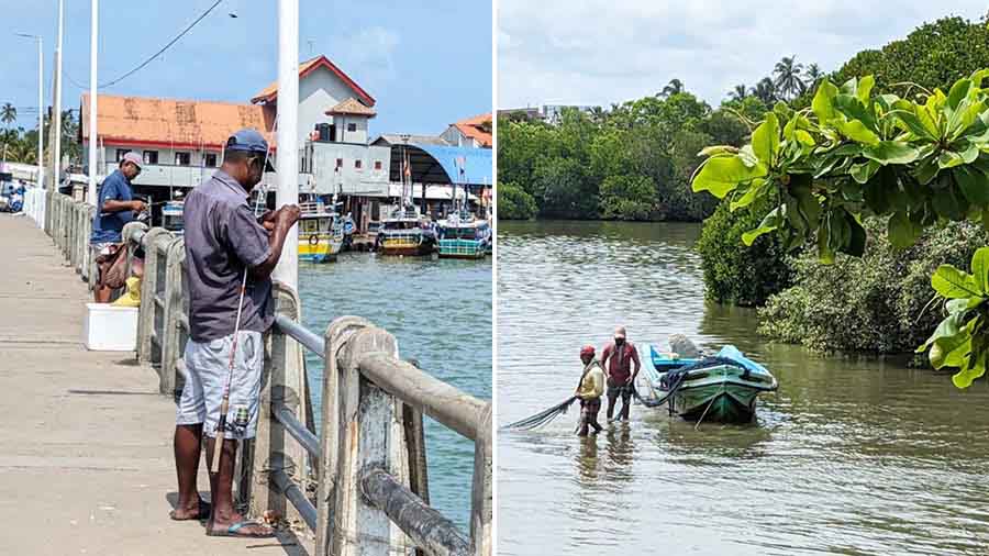 Almost everyone’s a fisherman/woman in Negombo 