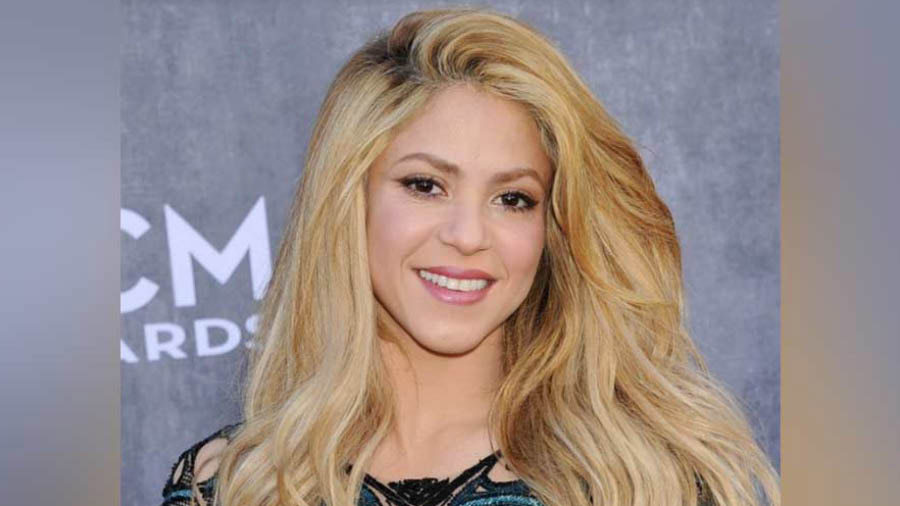 Shakira dismisses rumours that Lewis Hamilton is faster in private than he is in public