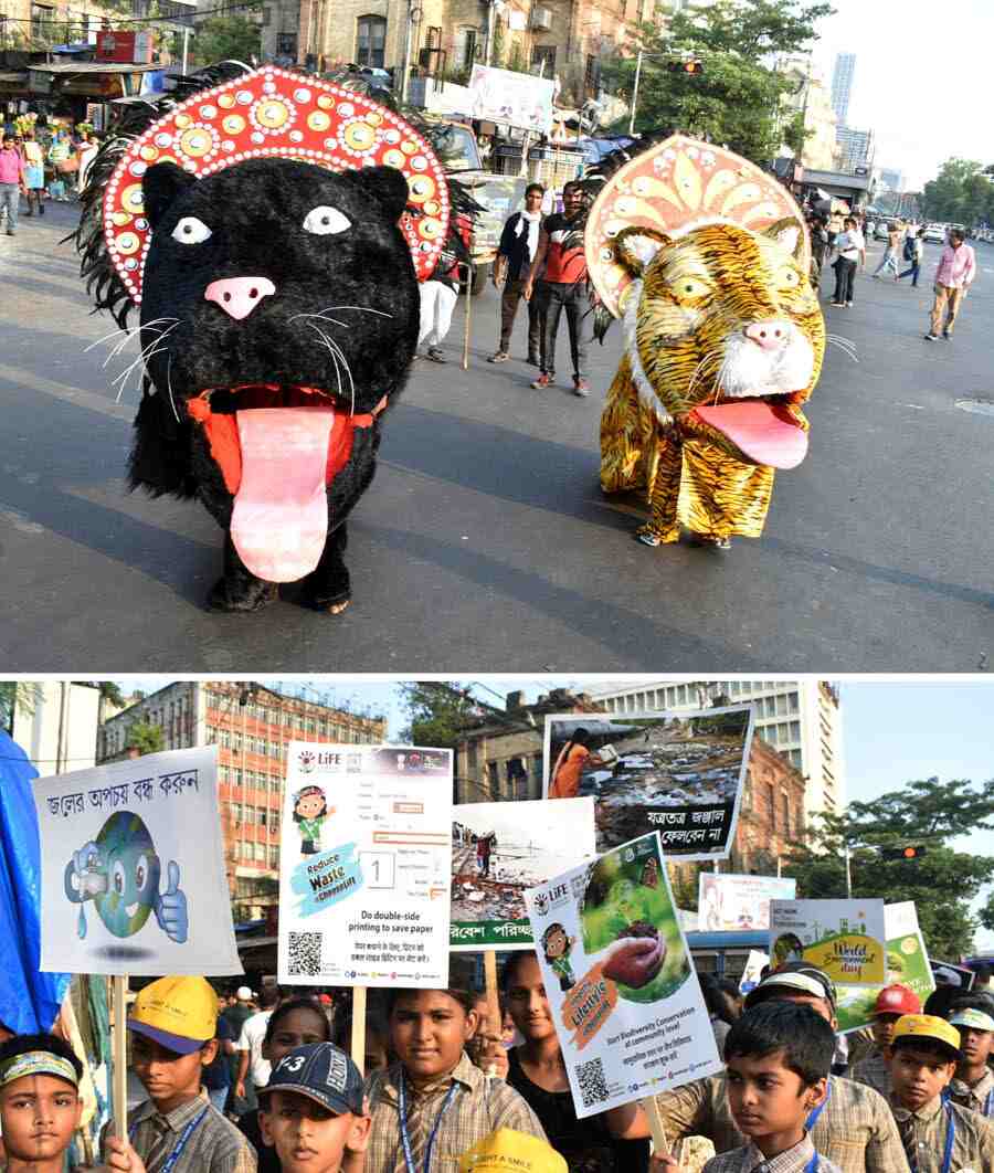A rally was held at Dharmatala by the Kolkata Municipal Corporation (KMC) with school students to observe World Environment Day and raise awareness about climate action  