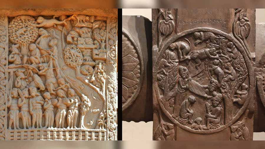 (L to R) Mango tree in medallion on railing of Bharhut Stupa (2nd century BCE) and Sanchi stupa(1st century BCE) depicting Mahakapi Jataka scenario