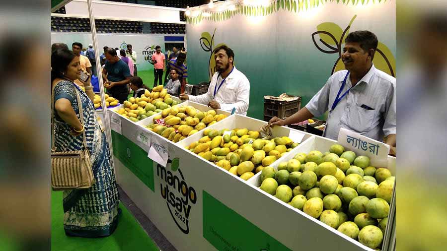 Stalls in Bengal Mango Utsav 2022