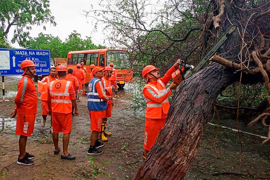 Cyclone Chido Leaves Trail of Destruction in Mayotte; Long Road to Recovery Ahead