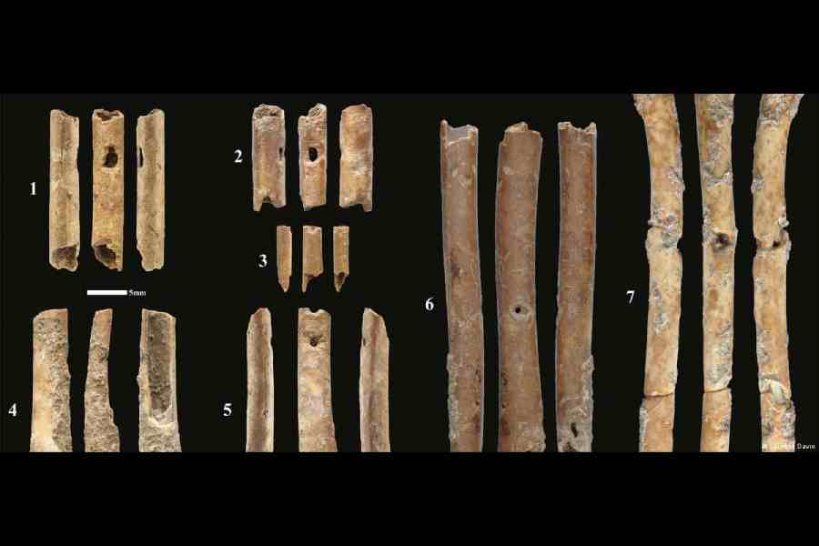 israel-archeologists-find-12-000-year-old-bone-flutes-in-israel